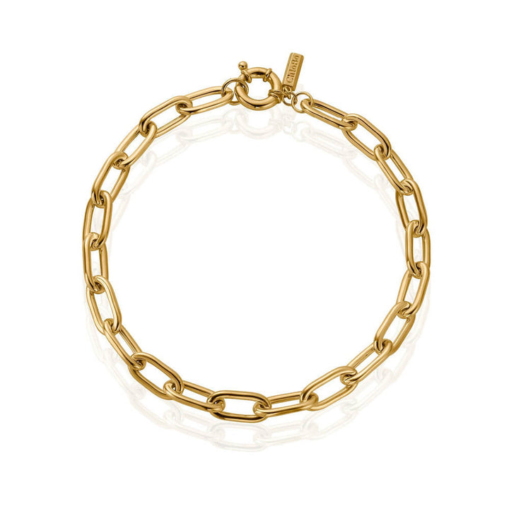 ChloBo Gold Chunky Link Necklace Image 1
