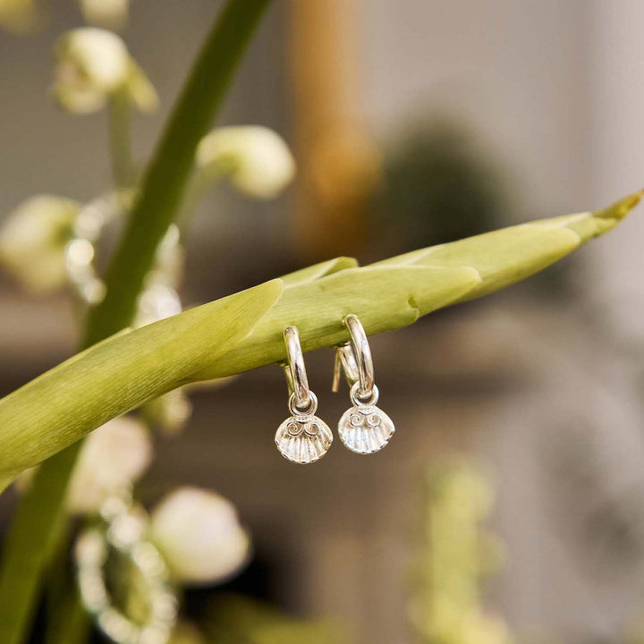 ChloBo Silver Travel Seeker Small Hoops - MococoChloBoSEH34029508428541798Earrings