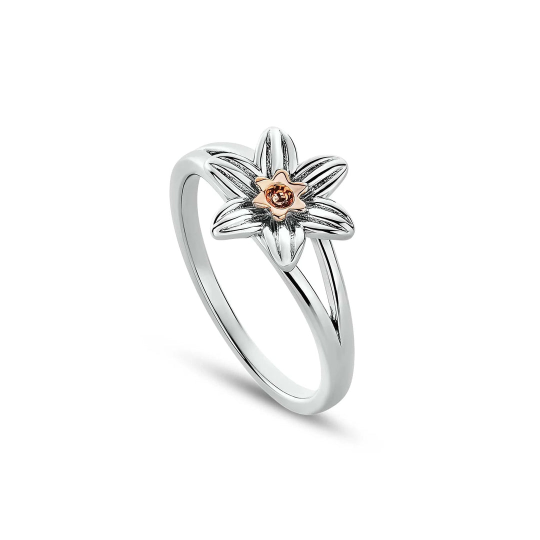 Clogau Nature's Wonder Silver Daffodil Ring - MococoClogau3SDAF831 - J5051537387985Rings