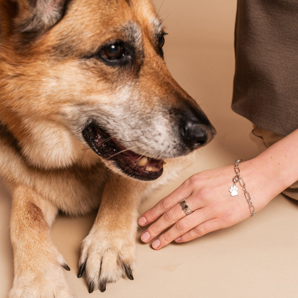 Clogau Silver Insignia Paw Prints Topaz Charm image 1