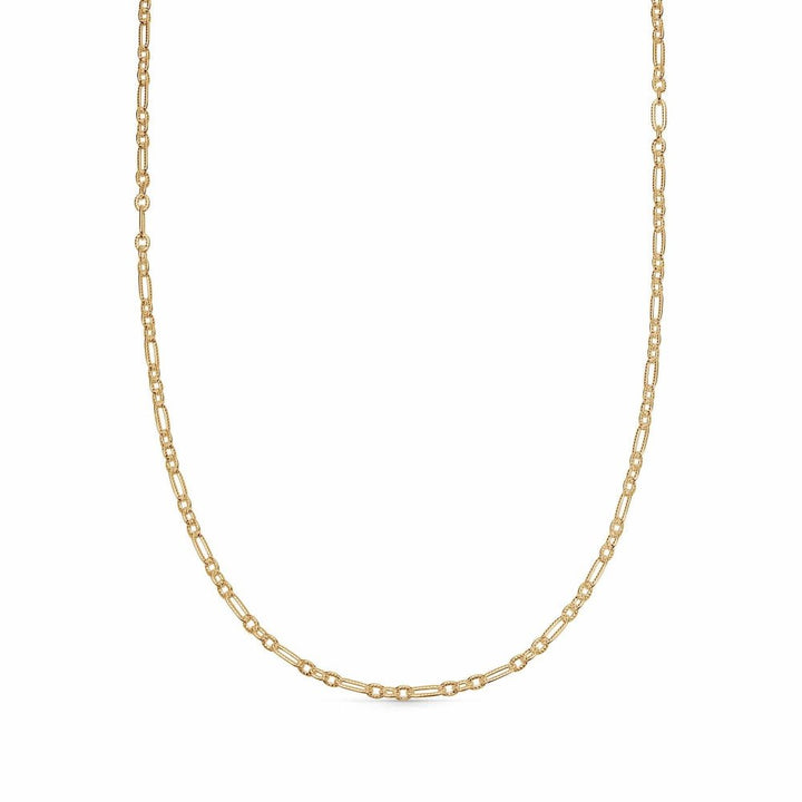 Daisy London 18CT Gold Plate Apollo Chain Necklace - MococoDaisy LondonRSN02_GP5056104134023Necklace
