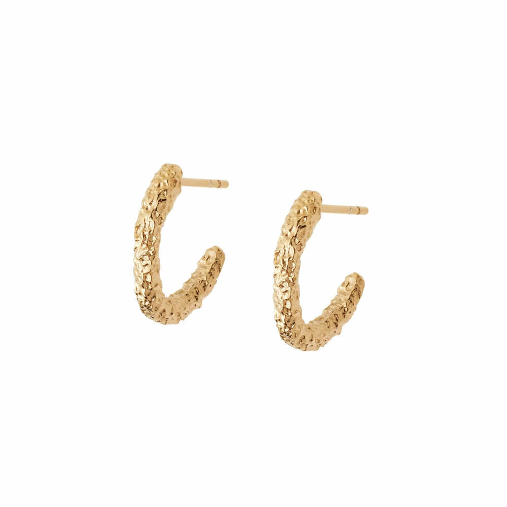Daisy London 18ct Gold Plate Coral Midi Hoop Earrings - MococoDaisy LondonSE03_GPEarrings