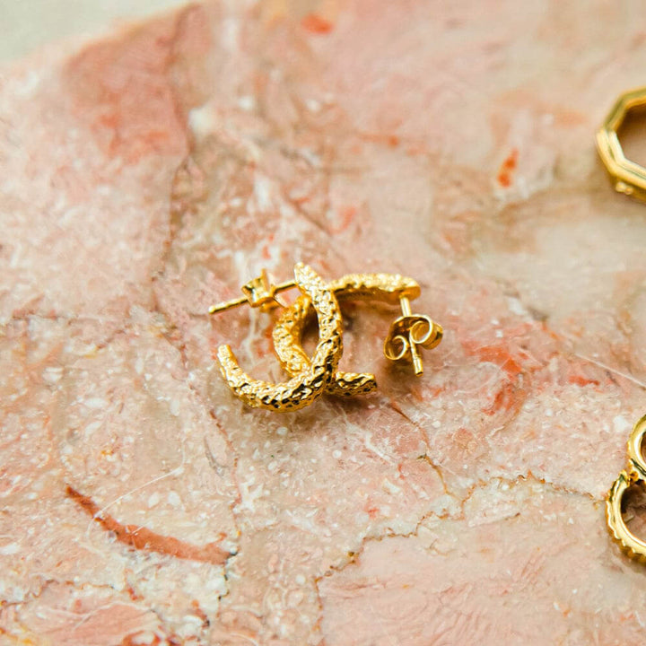 Daisy London 18ct Gold Plate Coral Midi Hoop Earrings - MococoDaisy LondonSE03_GPEarrings