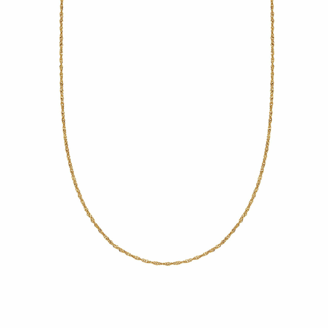 Daisy London 18ct Gold Plate Fine Chain Necklace - MococoDaisy LondonFCSING_GPNecklaces
