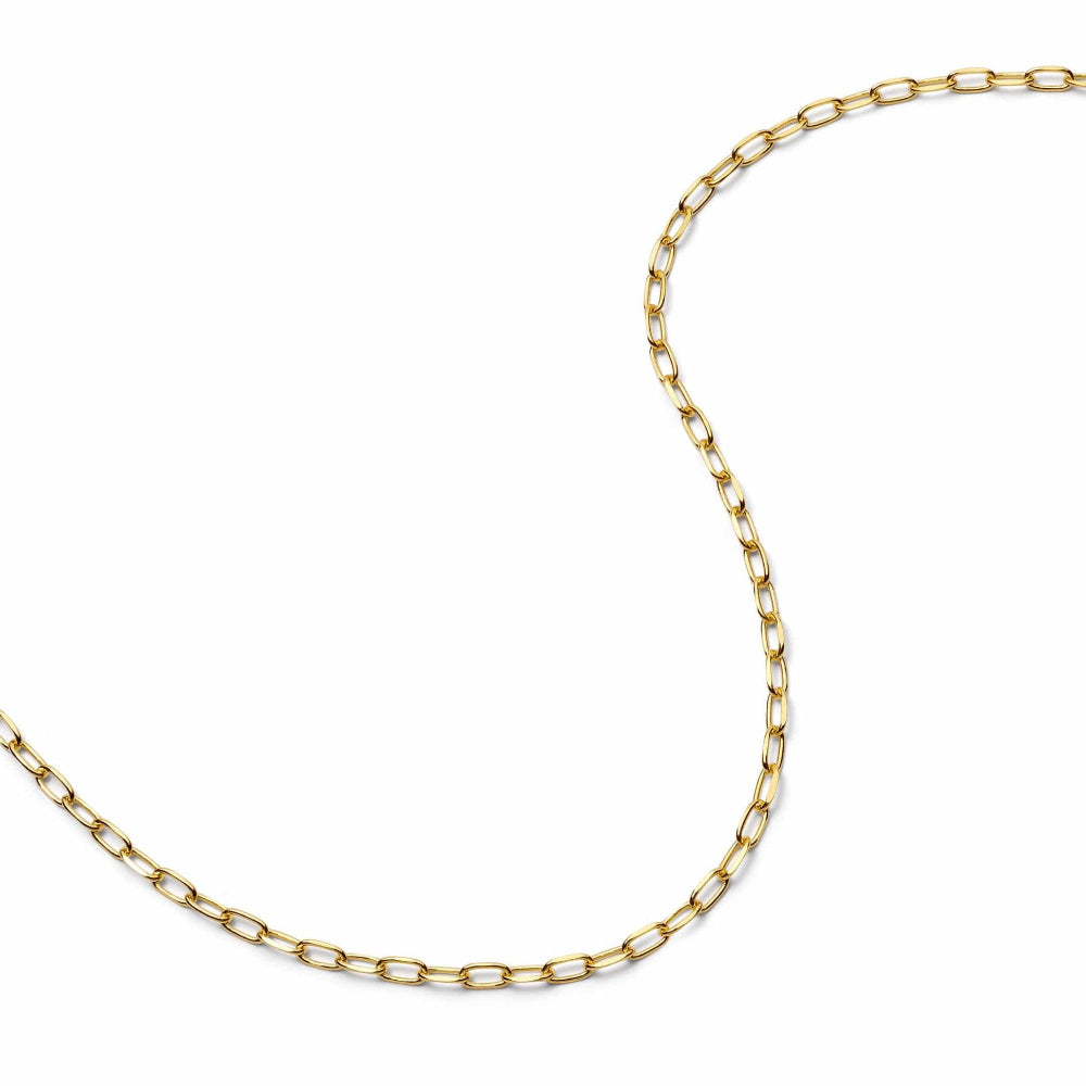 Daisy London 18CT Gold Plate Light Paperclip Chain Necklace 