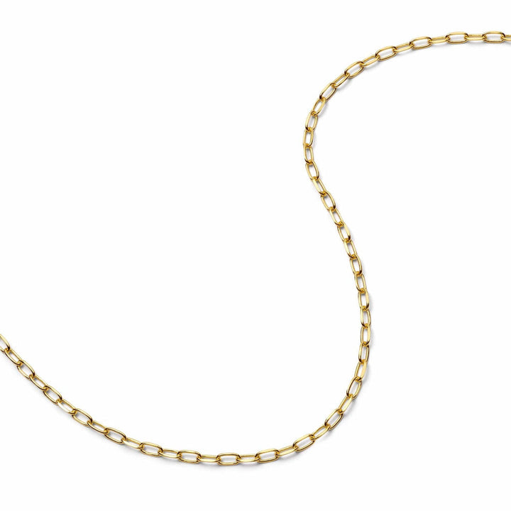 Daisy London 18CT Gold Plate Light Paperclip Chain Necklace 
