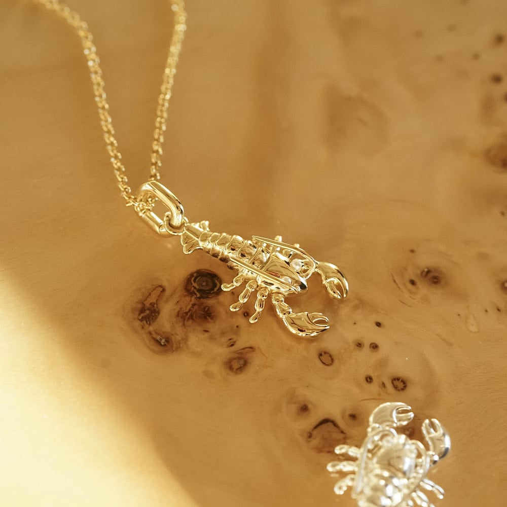 Daisy London 18CT Gold Plate Lobster Chain Necklace 1