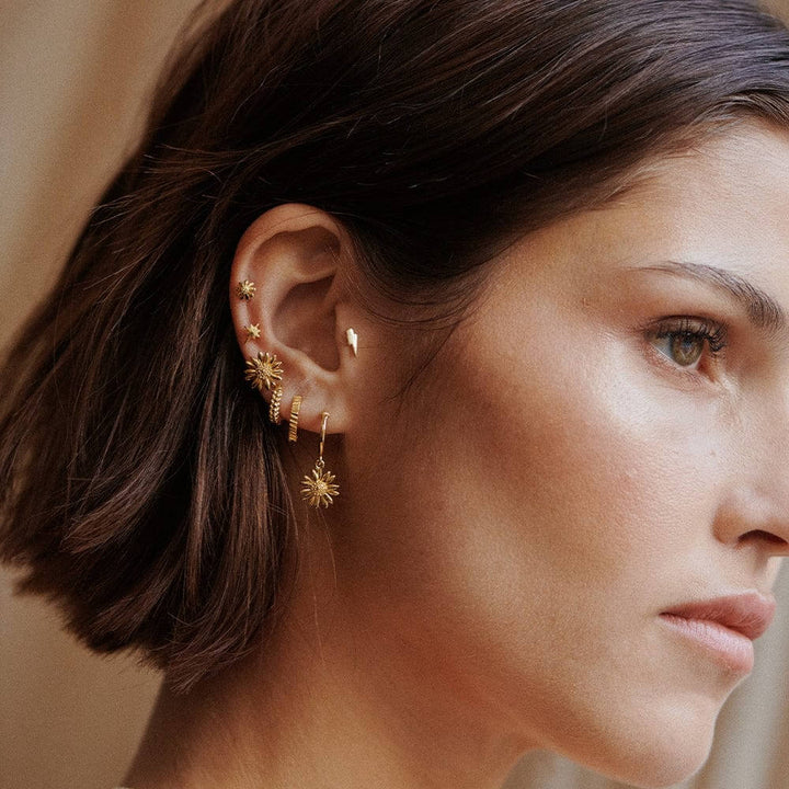 Daisy London 18ct Gold Plate Michaelmas Daisy Stud Earrings - MococoDaisy LondonE6080_GPEarrings