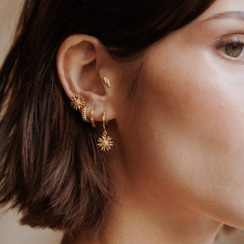 Daisy London 18ct Gold Plate Michaelmas Daisy Stud Earrings - MococoDaisy LondonE6080_GPEarrings