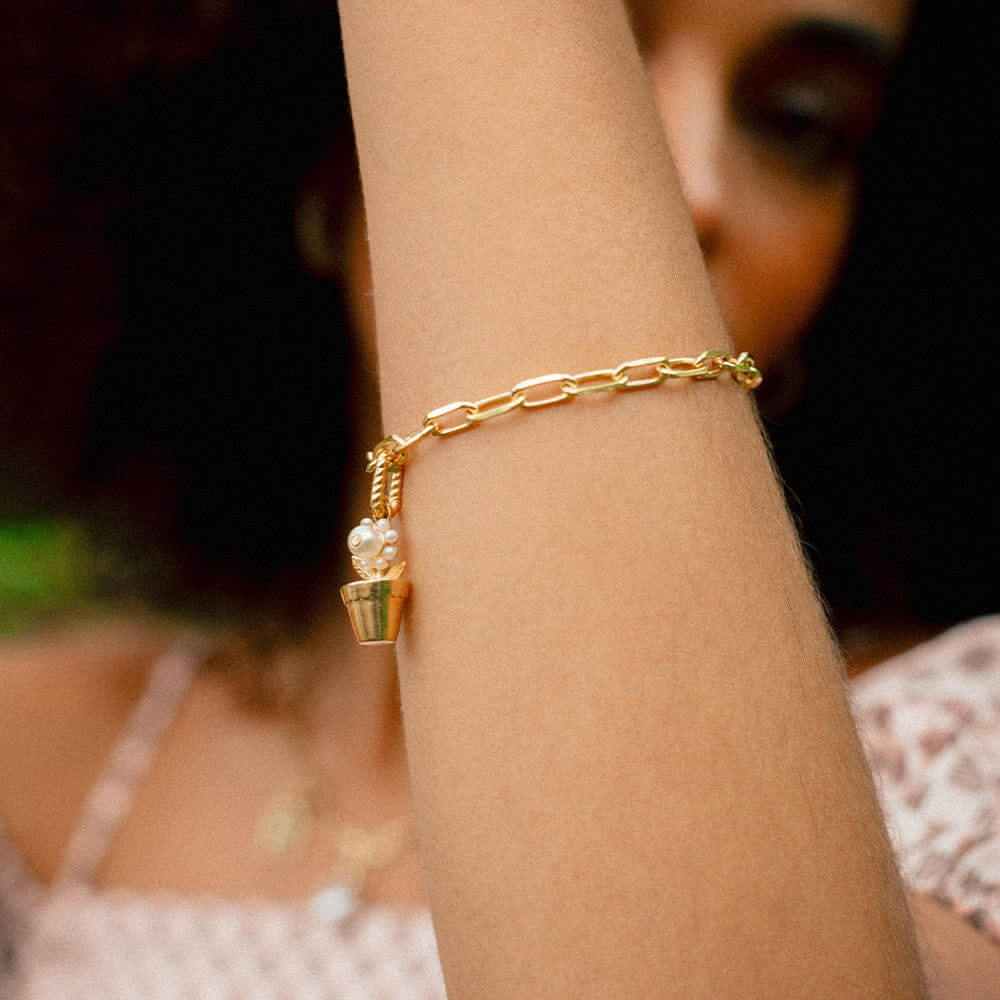 Daisy London 18ct Gold Plate Shrimps Chunky Chain Bracelet - MococoDaisy LondonSHBR001_GPBracelets
