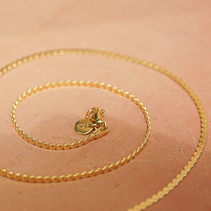 Daisy London 18CT Gold Plate Spiral Snake Chain Bracelet 2