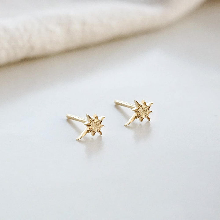 Daisy London 18ct Gold Plate Super Star Stud Earrings - MococoDaisy LondonST07_GPEarrings