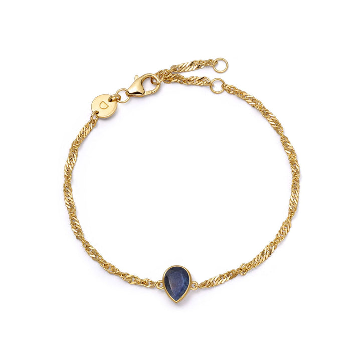 Daisy London Gold Birthstone Charm Bracelet with Gemstones - MococoDaisy LondonBSBR13_GP5056104138861Bracelets
