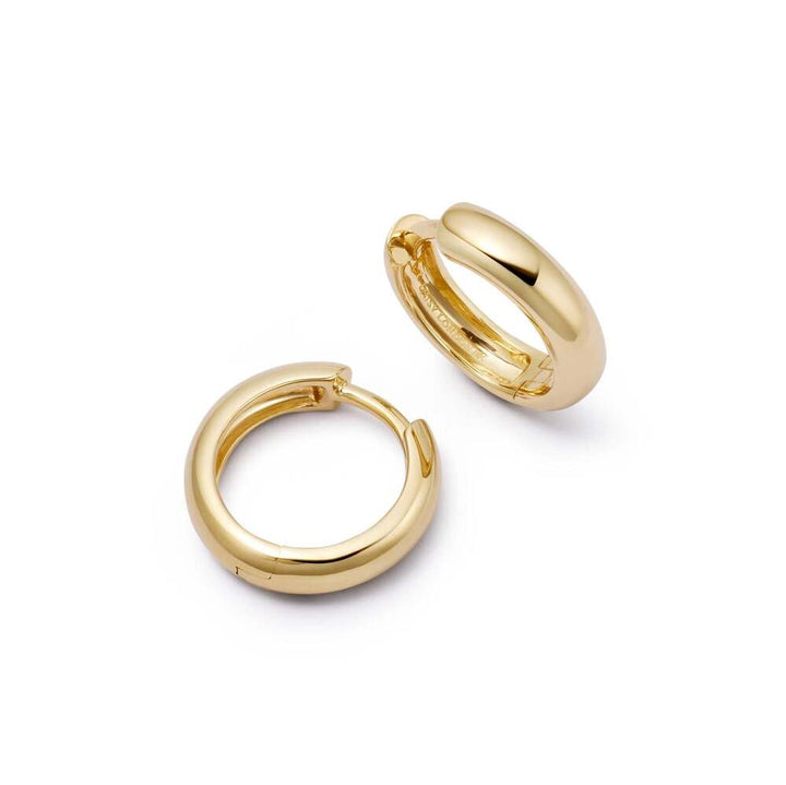 Daisy London Gold Essential Hoop Earrings