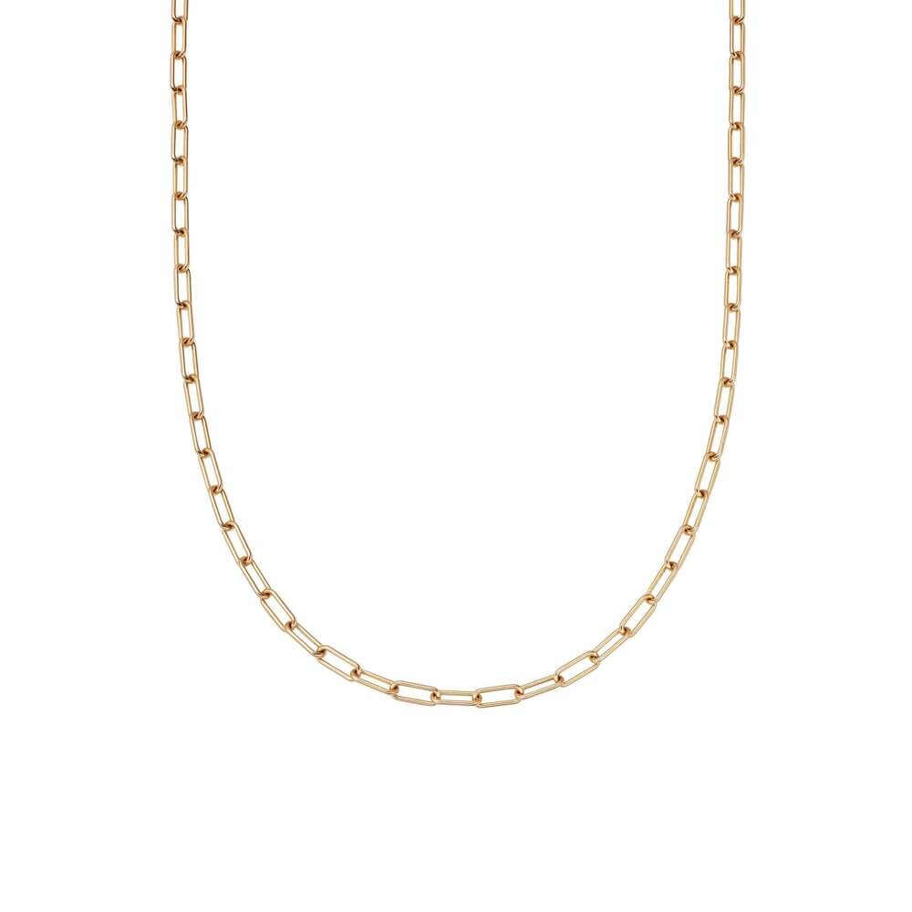 Daisy London Gold Estee Lalonde Open Box Chain Necklace - MococoDaisy London4ELN35_GPNecklaces