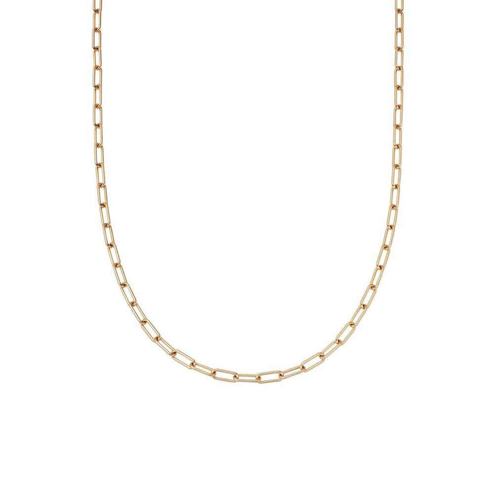 Daisy London Gold Estee Lalonde Open Box Chain Necklace - MococoDaisy London4ELN35_GPNecklaces