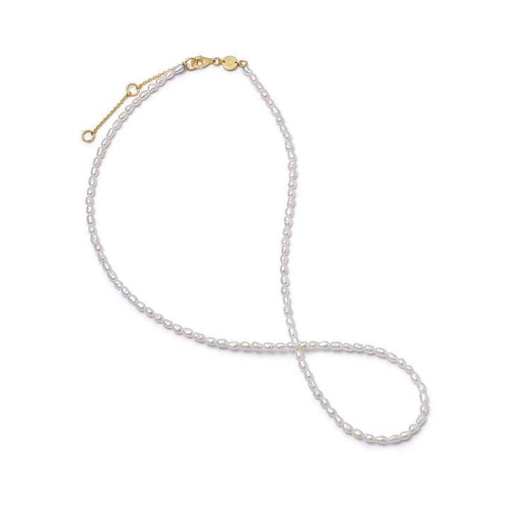 Daisy London Gold Freshwater Seed Pearl Necklace - MococoDaisy LondonFPN01_GPNecklaces