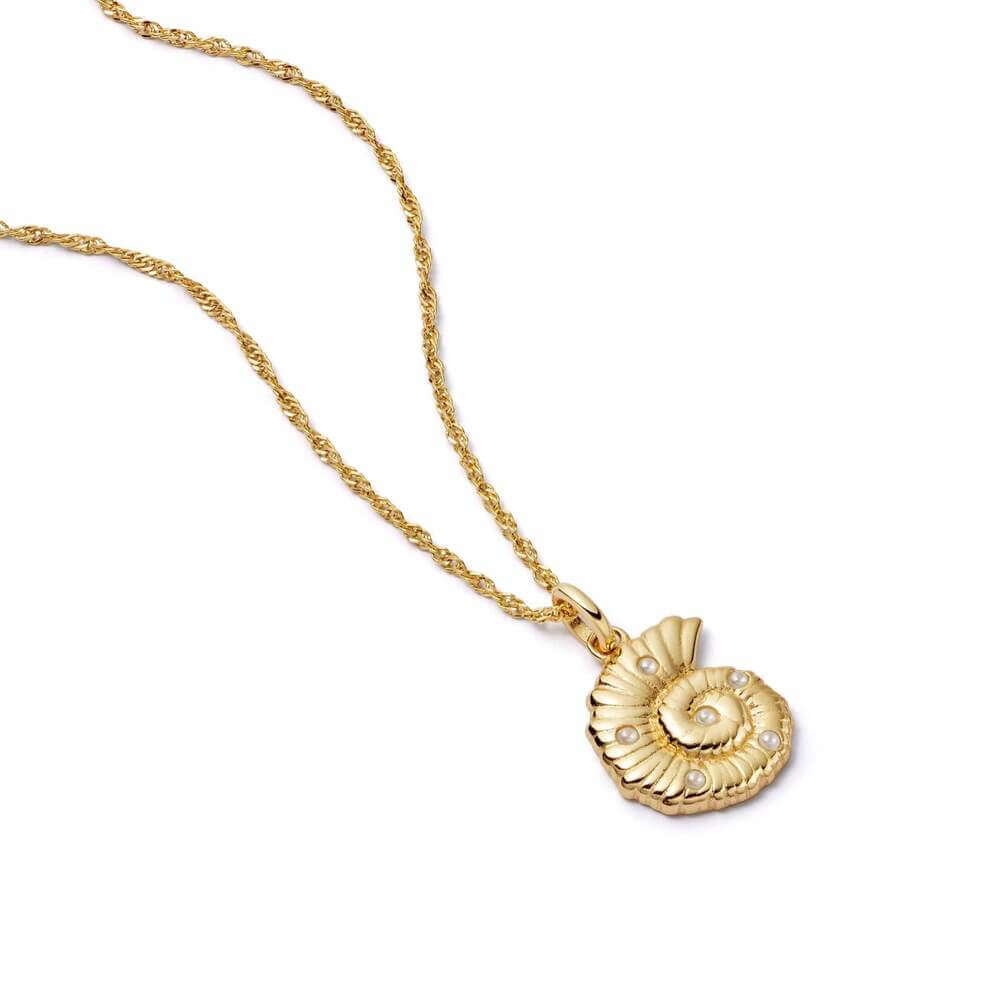 Daisy London Gold Pearl And Shell Pendant Necklace - MococoDaisy LondonSN19_GPCharms & Pendants