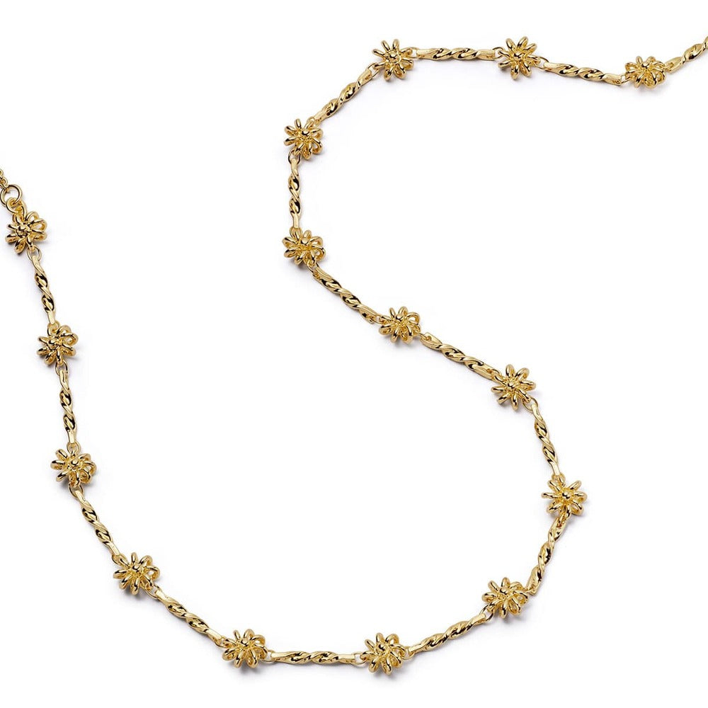 Daisy London Gold Plate Chain Twist Necklace