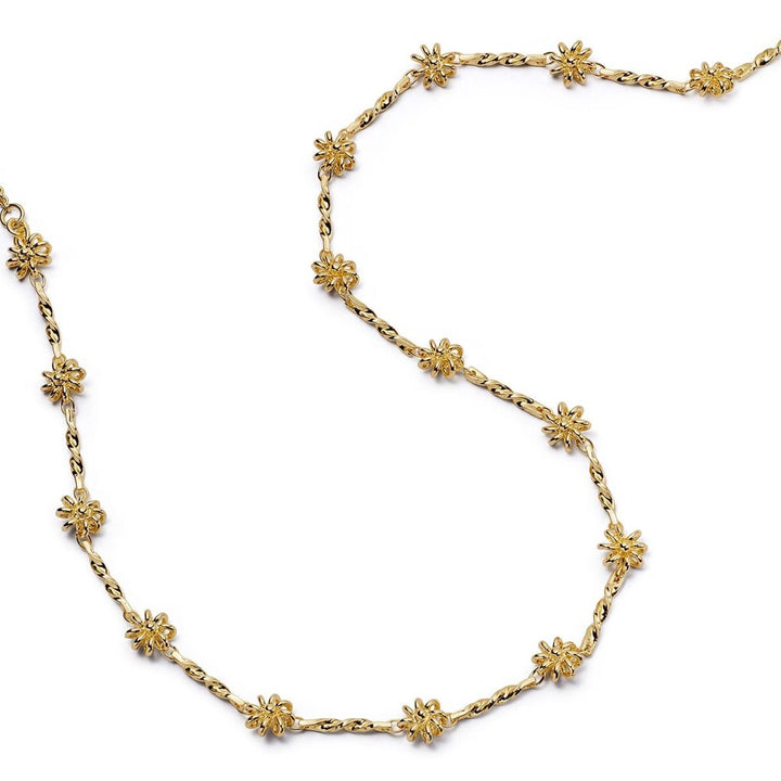 Daisy London Gold Plate Chain Twist Necklace