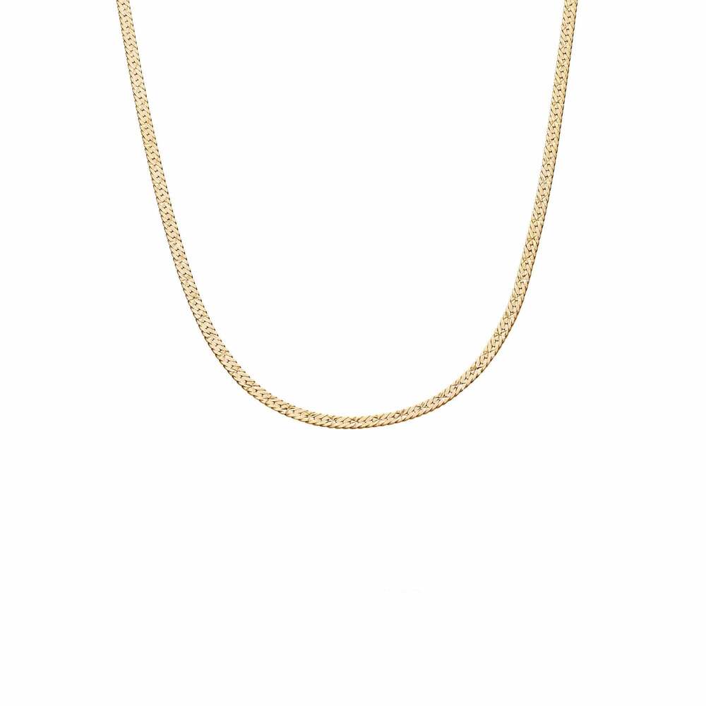 Daisy London Gold Plate Estee Lalonde Short Snake Chain Necklace