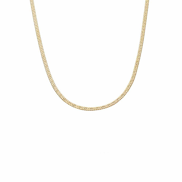 Daisy London Gold Plate Estee Lalonde Short Snake Chain Necklace