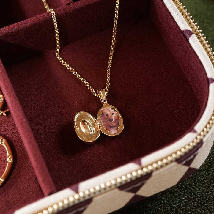 Daisy London Gold Plate Estee Lalonde Sapphire Locket Necklace Additional Image - 4