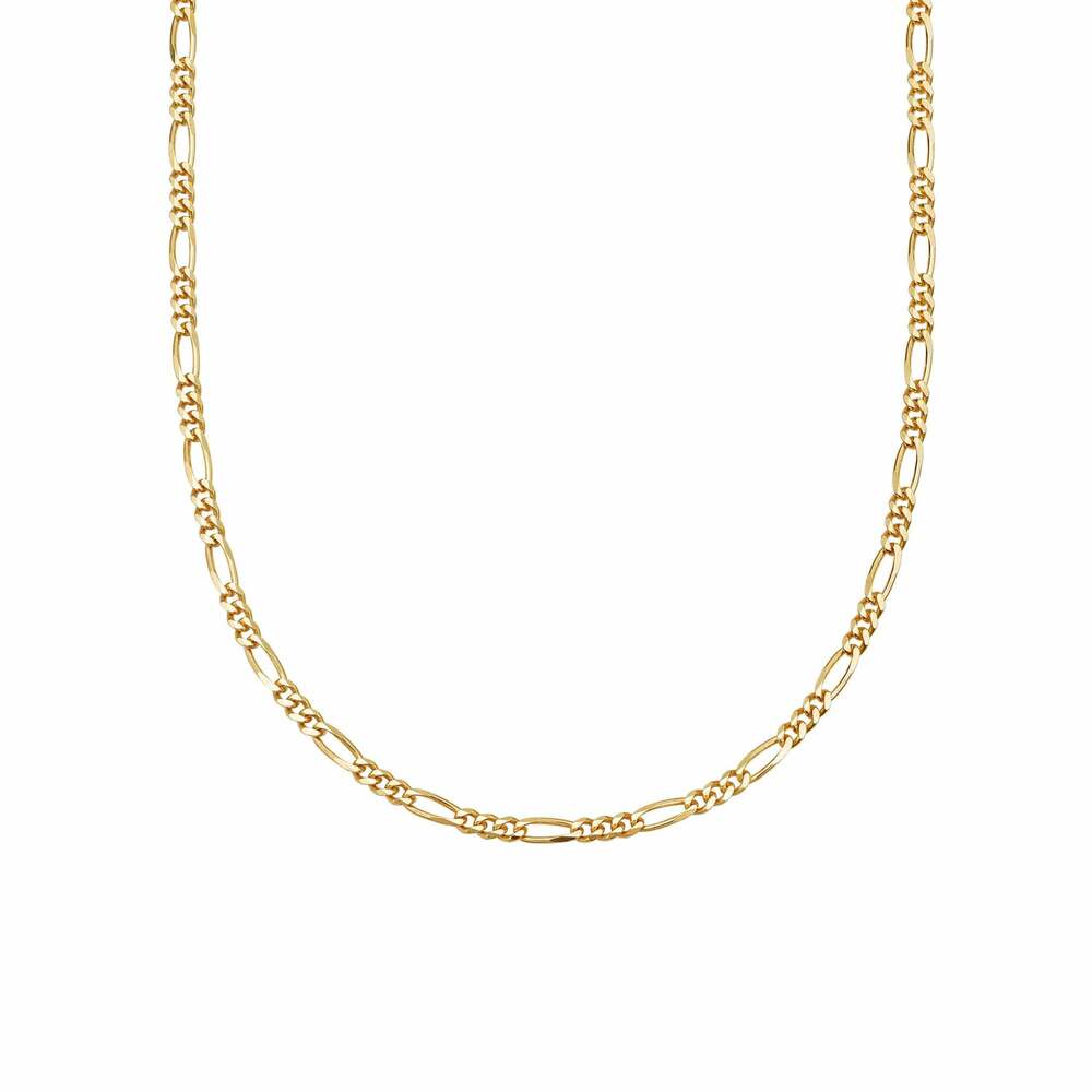 Daisy London Gold Plate Fine Figaro Chain Necklace