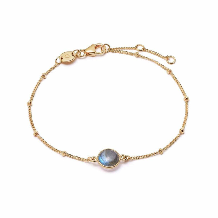 Daisy London Gold Plate Healing Stone Bracelet Additional Image - 4