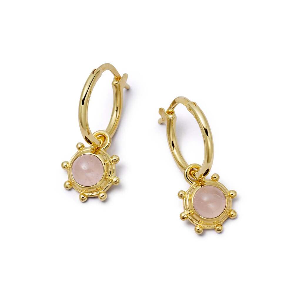 Daisy London Gold Plate Healing Stone Charm Earrings Additional Image - 15