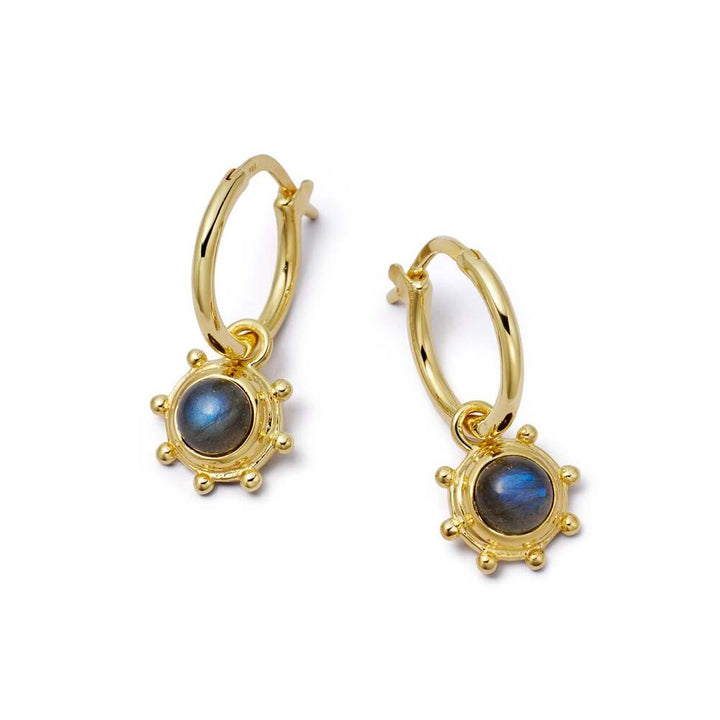 Daisy London Gold Plate Healing Stone Charm Earrings Additional Image - 19