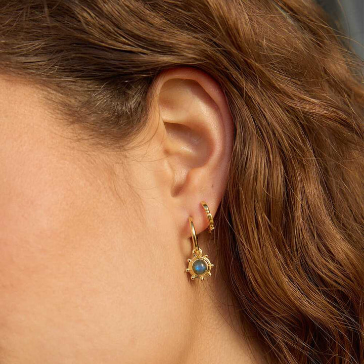 Daisy London Gold Plate Healing Stone Charm Earrings Additional Image - 20