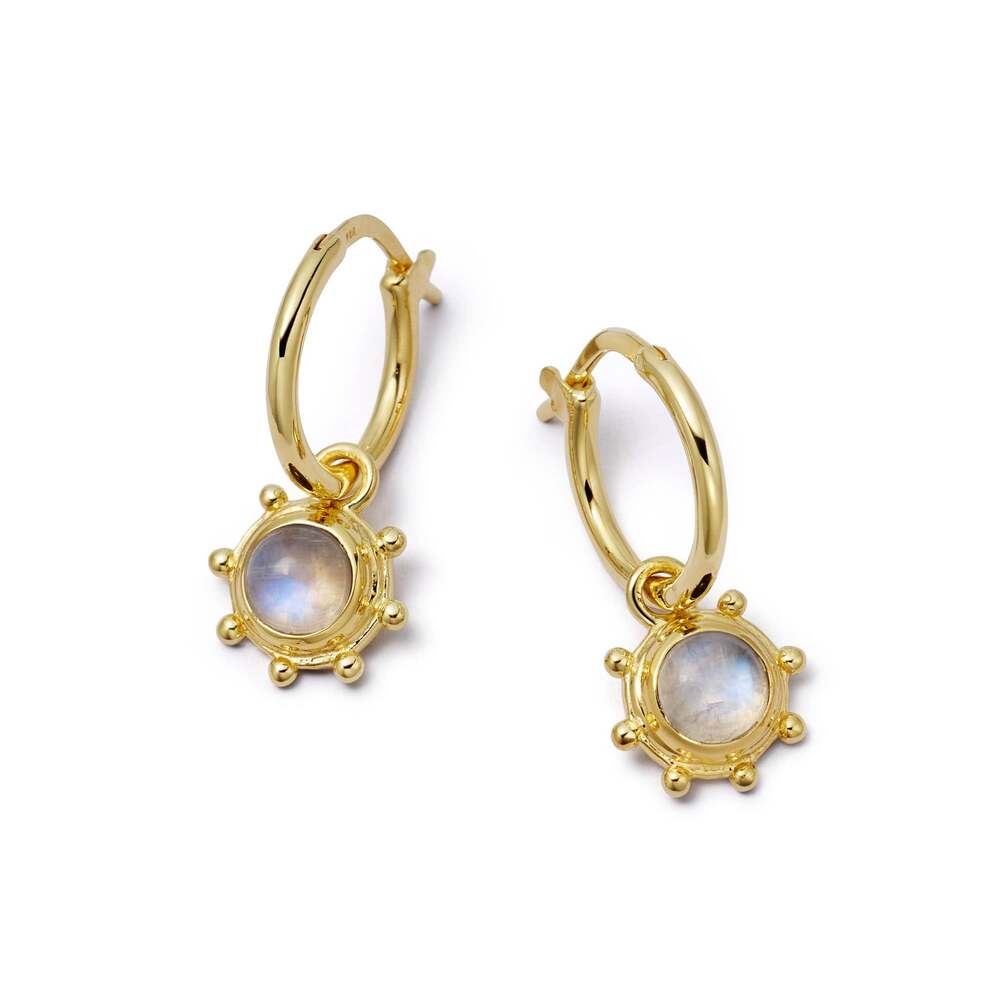 Daisy London Gold Plate Healing Stone Charm Earrings Additional Image - 27