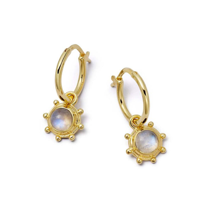 Daisy London Gold Plate Healing Stone Charm Earrings Additional Image - 27