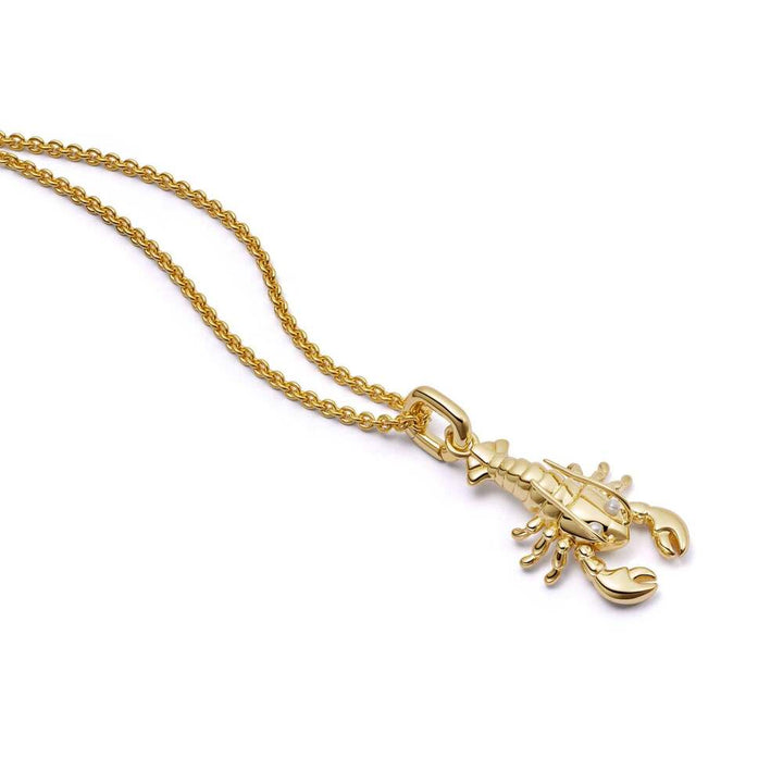 Daisy London Gold Plate Lobster Chain Necklace