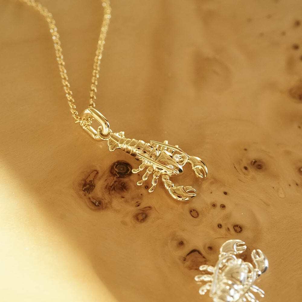 Daisy London Gold Plate Lobster Chain Necklace Additional Image - 1