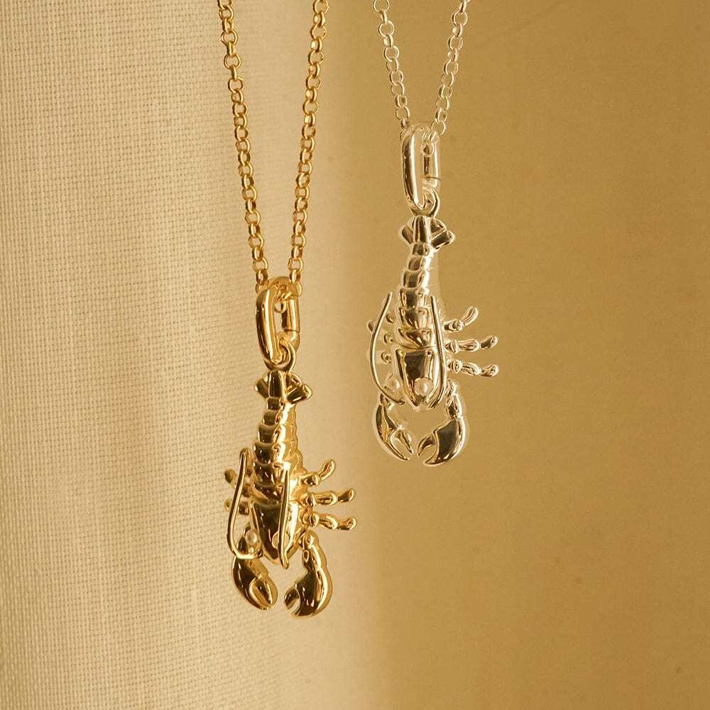 Daisy London Gold Plate Lobster Chain Necklace Additional Image - 4