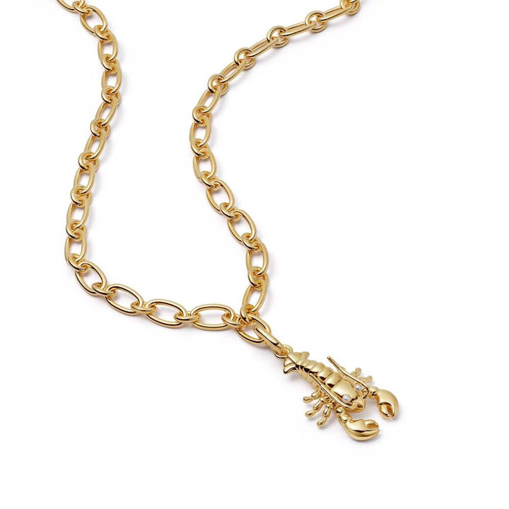 Daisy London Gold Plate Lobster Chunky Chain Necklace