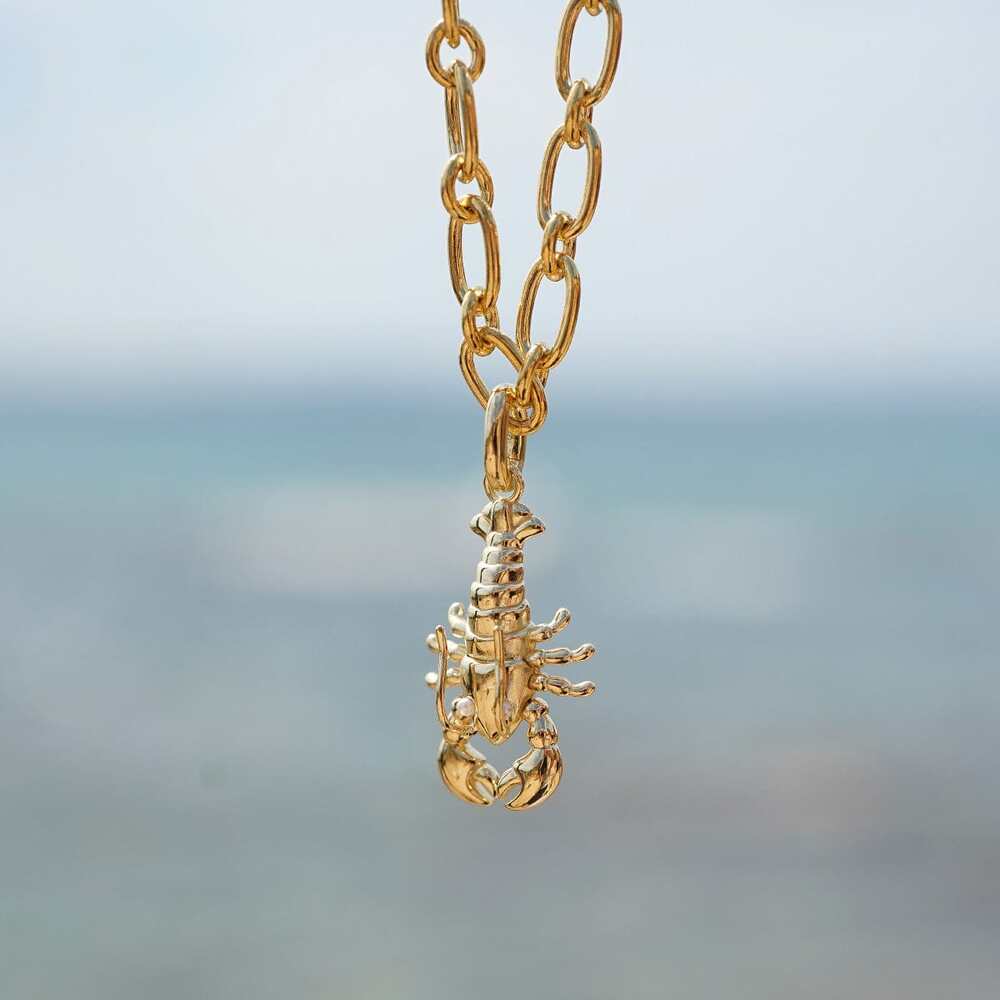 Daisy London Gold Plate Lobster Chunky Chain Necklace Additional Image - 2