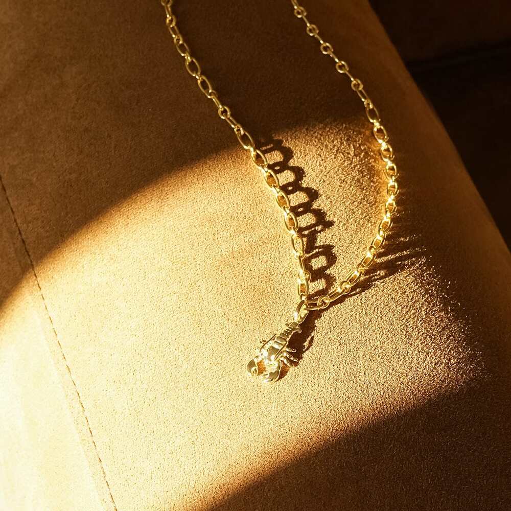 Daisy London Gold Plate Lobster Chunky Chain Necklace Additional Image - 4