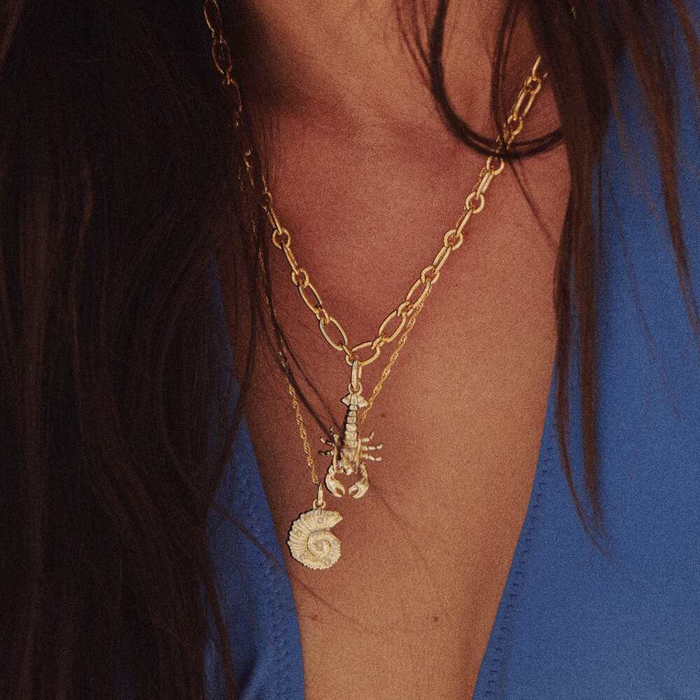 Daisy London Gold Plate Lobster Chunky Chain Necklace Additional Image - 5