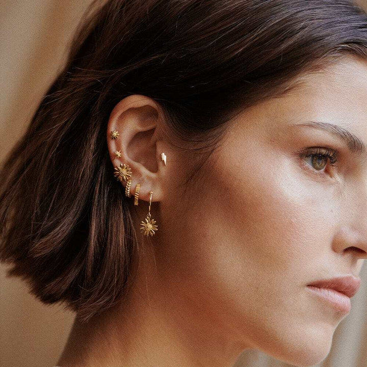 Daisy London Gold Plate Michaelmas Daisy Stud Earrings Additional Image - 3