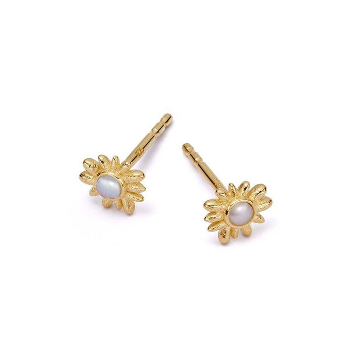 Daisy London Gold Plate Daisy Mini Mother Of Pearl Stud Earrings