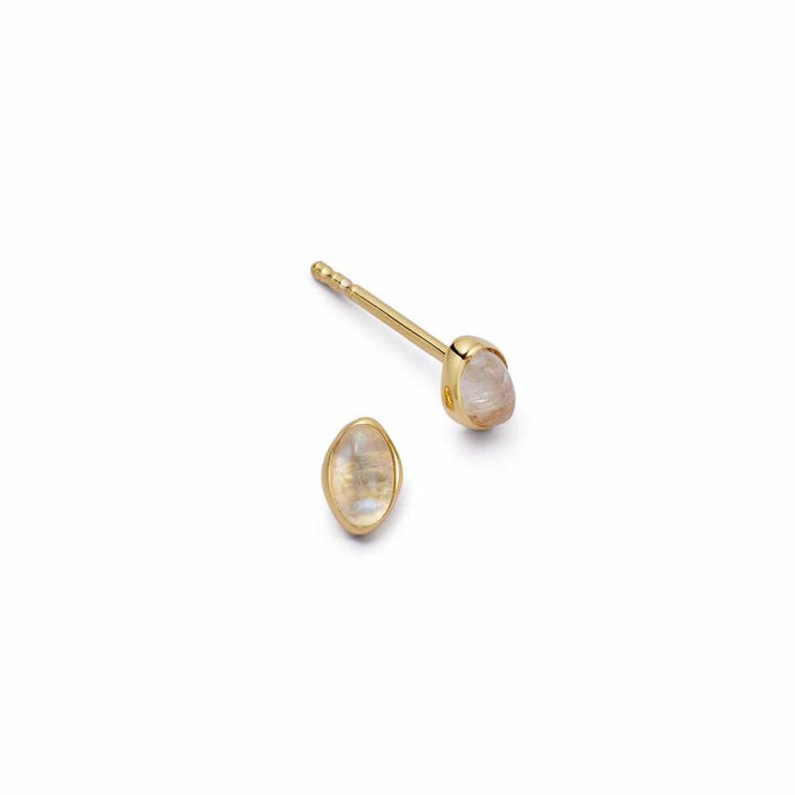 Daisy London Gold Plate Moonstone Oval Stud Earrings