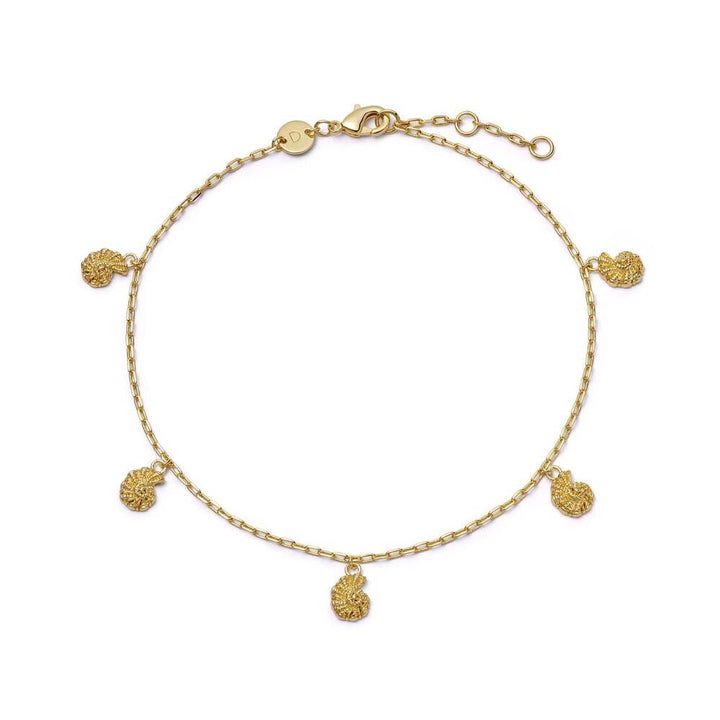 Daisy London Gold Plate Polly Shell Charm Anklet
