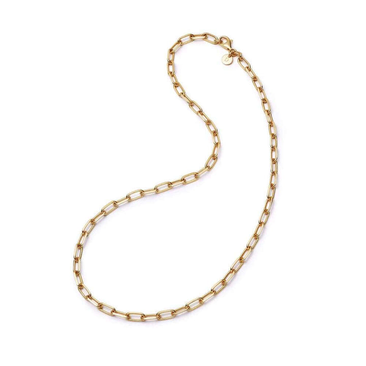 Daisy London Gold Shrimps Chunky Chain Necklace - MococoDaisy LondonSHN001_GPNecklaces