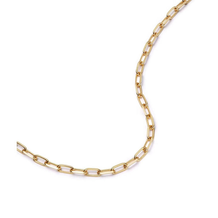 Daisy London Gold Shrimps Chunky Chain Necklace - MococoDaisy LondonSHN001_GPNecklaces