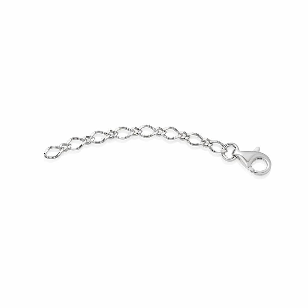 Daisy London Silver Bracelet and Necklace Extender Chain