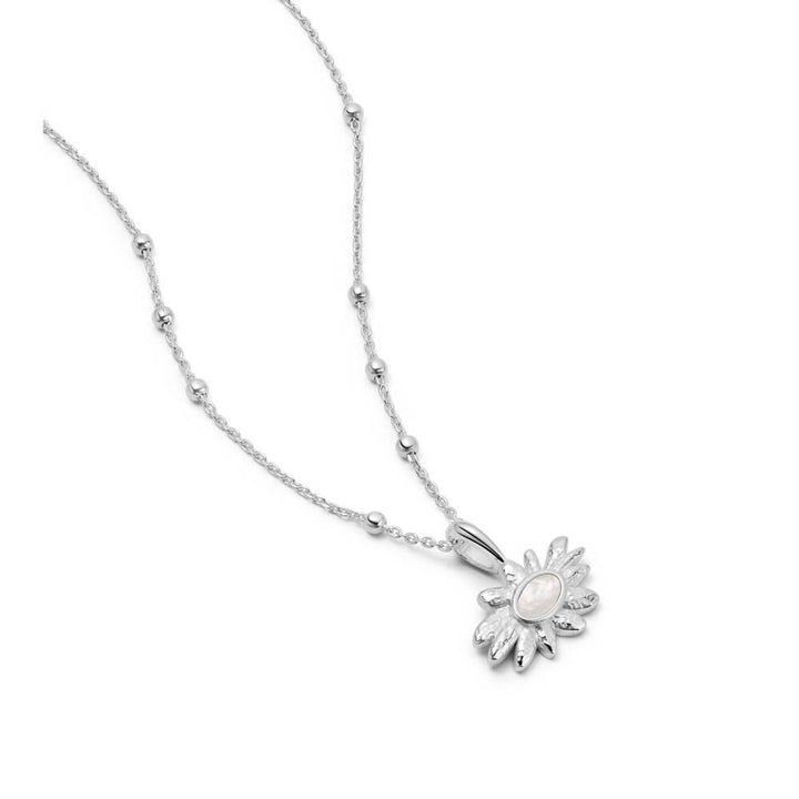 Daisy London Silver Daisy Mother Of Pearl Flower Necklace - MococoDaisy LondonDBN03_SLVNecklaces