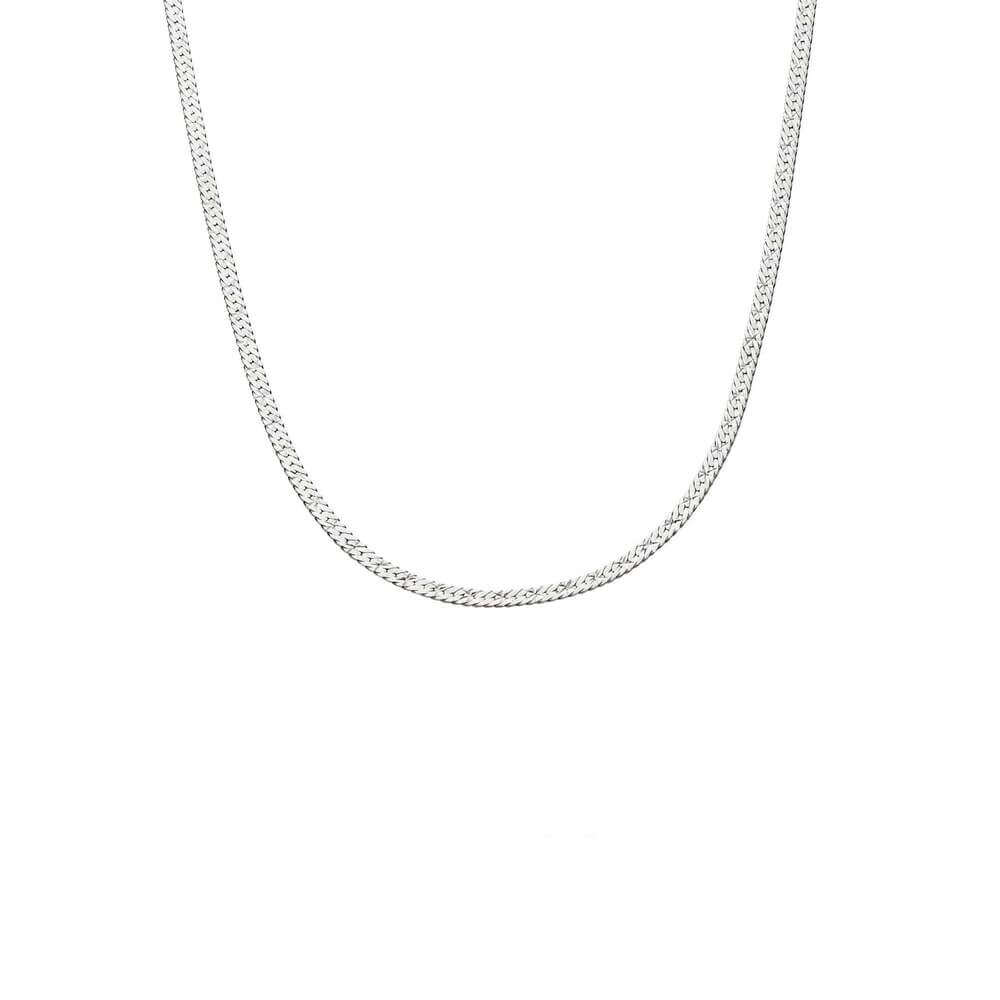 Daisy London Silver Estee Lalonde Short Snake Chain Necklace - MococoDaisy LondonELN08_SLVNecklaces